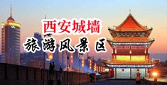 啊啊啊操女人中国陕西-西安城墙旅游风景区
